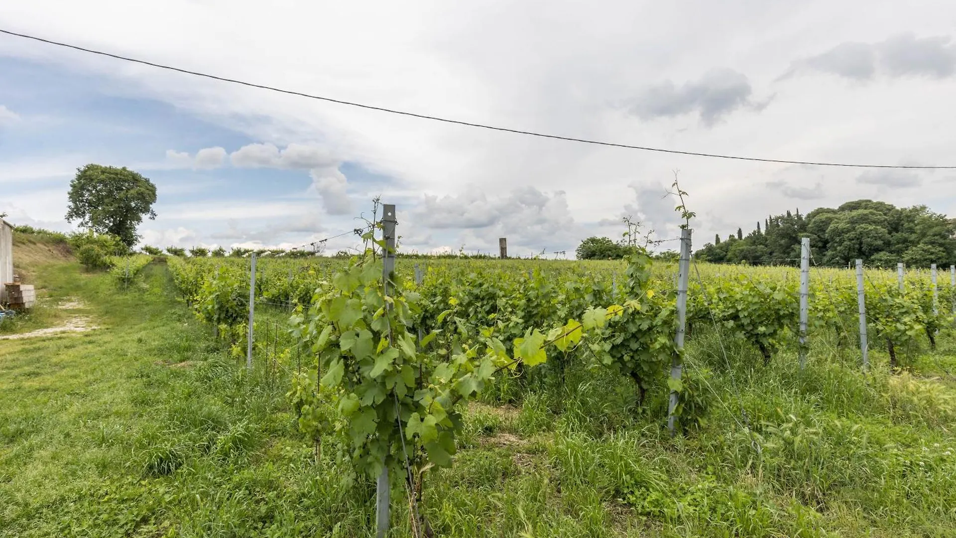 Country Agritur Tenuta Corte Tese 2 索纳 0*,